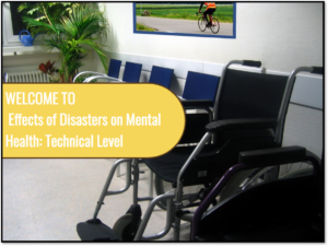 Effect of Disasters on Mental Health: Technical Level