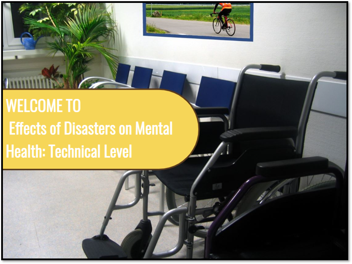 Effect of Disasters on Mental Health: Technical Level