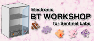 Electronic BT Workshop for Sentinel Labs