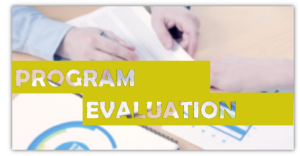 Program Evaluation