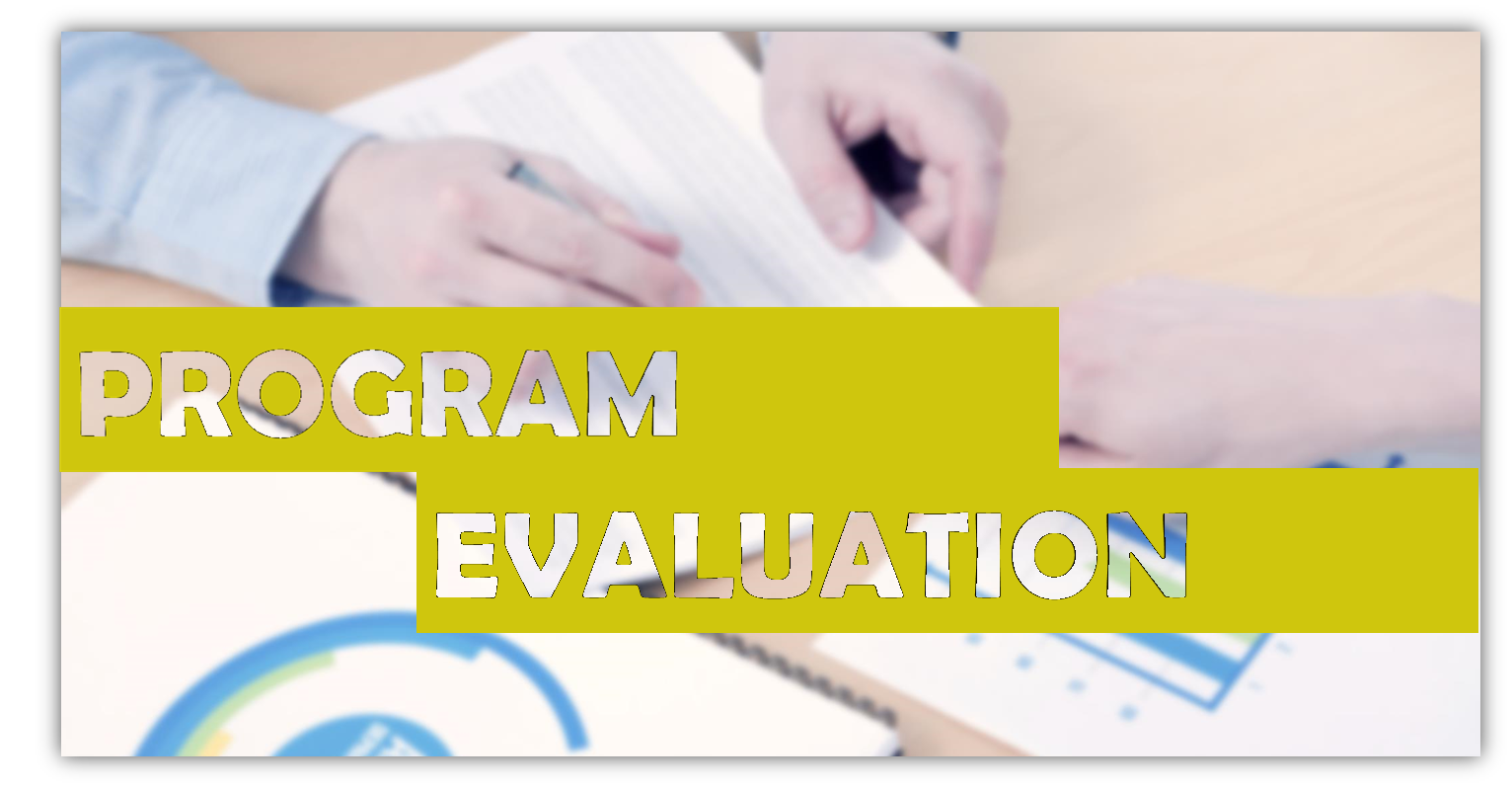 Program Evaluation